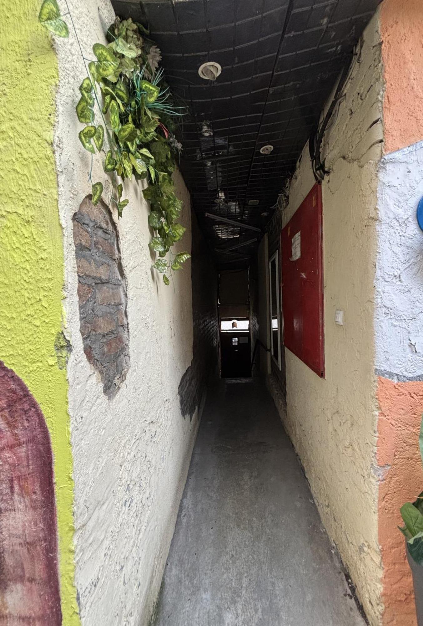 Vracar Affordable Suites - Vracar Povoljni Stanovi Belgrad Exteriör bild